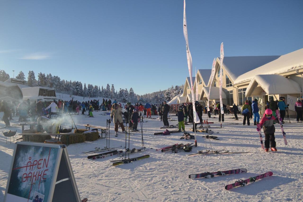 Ski Lodge Gautefall Kültér fotó