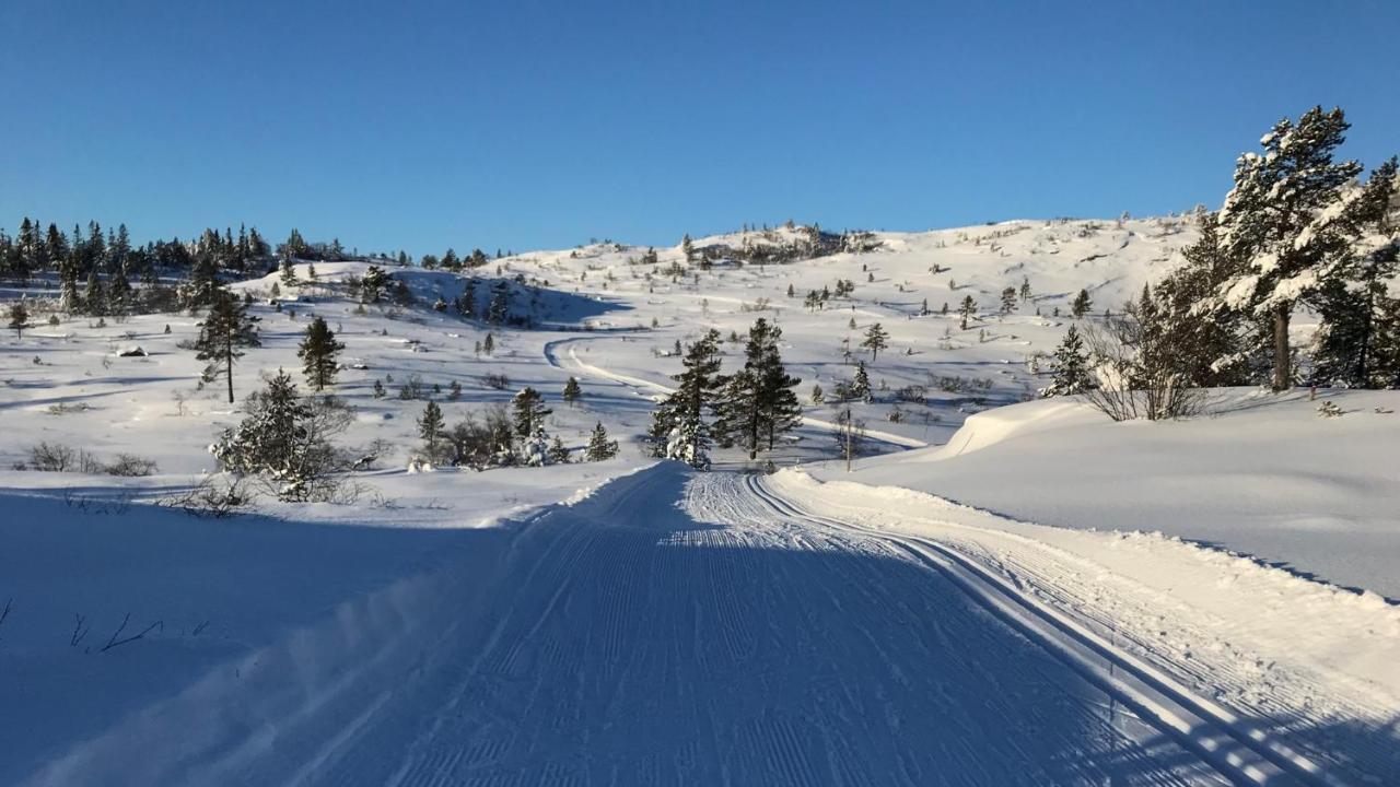 Ski Lodge Gautefall Kültér fotó