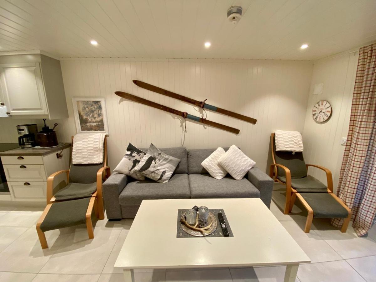 Ski Lodge Gautefall Kültér fotó