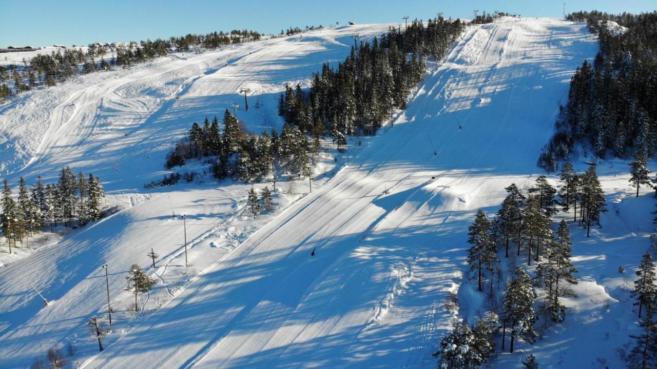 Ski Lodge Gautefall Kültér fotó